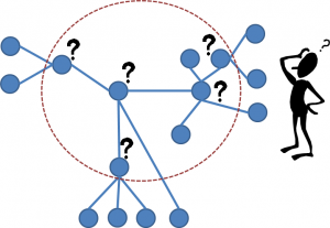 NetworkComplexity