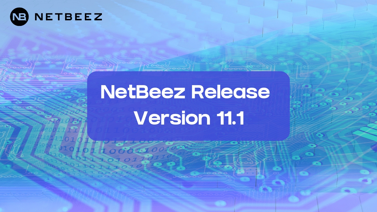 netbeez 11.1