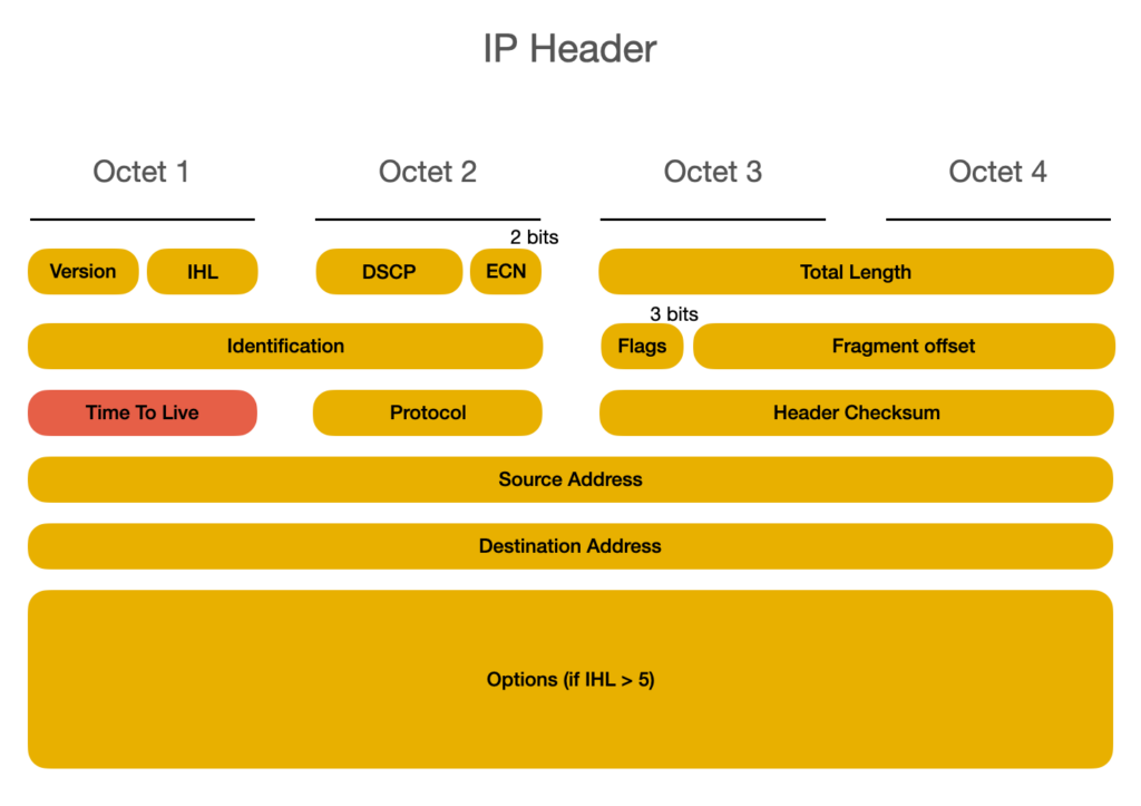 IP packet header ttl